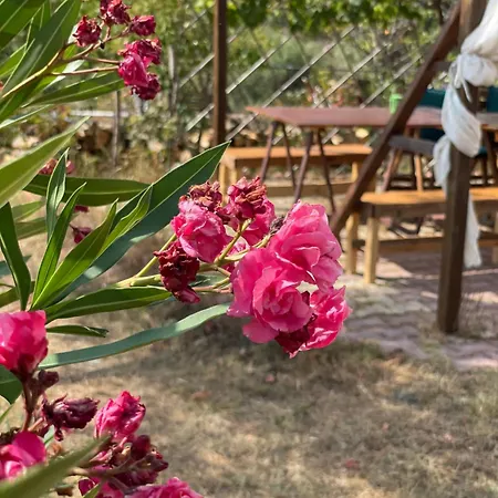 Gerakini Detached House With Panoramic Sea Views Polígirosz