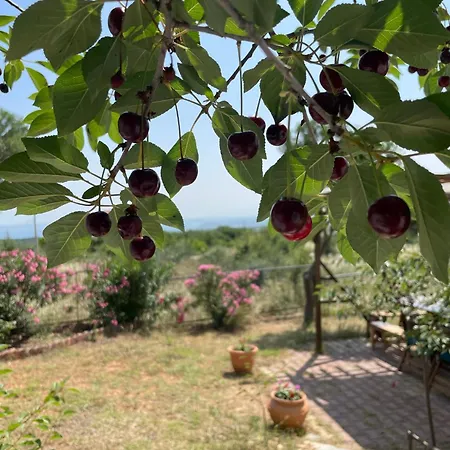 Gerakini Detached House With Panoramic Sea Views *