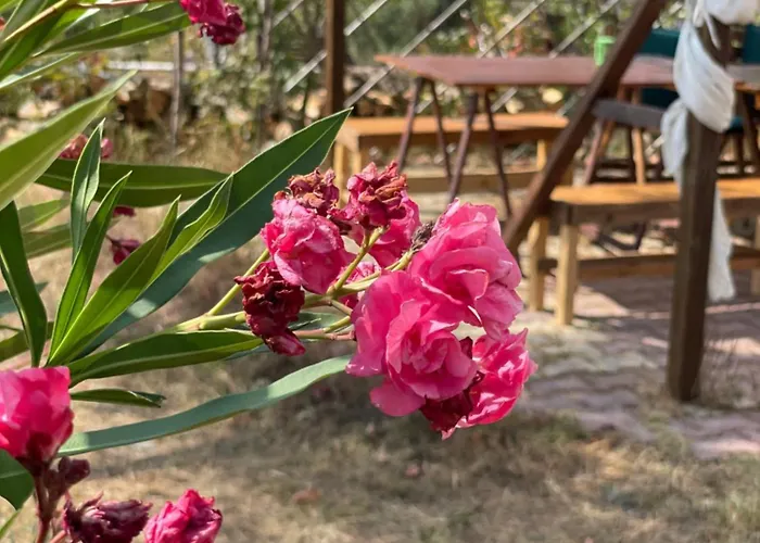 Gerakini Detached House With Panoramic Sea Views Polýgyros