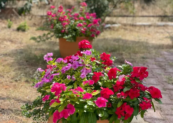 Gerakini Detached House With Panoramic Sea Views Hébergement de vacances Polýgyros