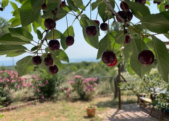 Gerakini Detached House With Panoramic Sea Views *