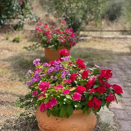 Gerakini Detached House With Panoramic Sea Views Prázdninový dům Polýgyros